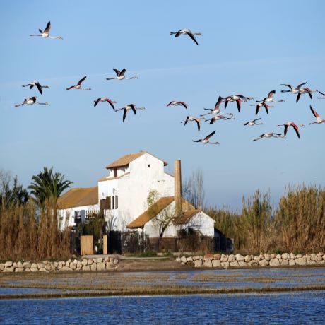 Tancat de l´Albufera